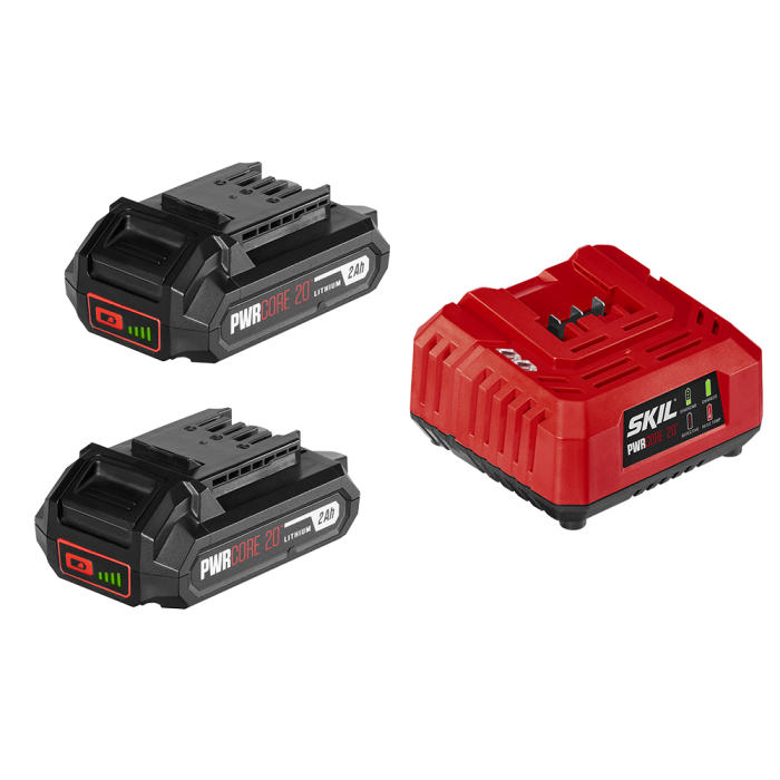 Skil pwrcore 20 battery sale