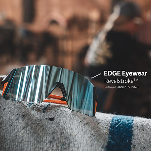 Edge Eyewear safety glasses